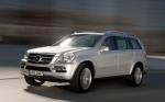 Mercedes-Benz GL350 BlueTEC 2009 года